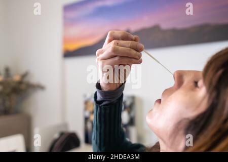 Detail des nasalen Selbsttests zu Hause. Eine junge Frau, die den Schnellantigen-Test, sars-Cov-2 Tests, durchführt. Sicherheitsmaßnahmen im Coronavirus pandemi Stockfoto