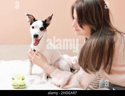 Junge Frau mit langen Haaren auf einem Bett liegend und Jack russell Terrier sitzt neben ihr. Leben mit Haustierfreunden, zusammen entspannen Stockfoto