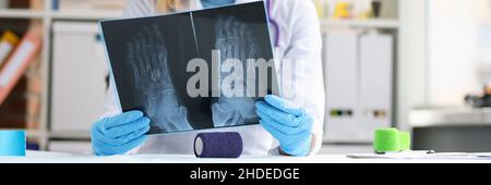 Die Ärztin untersucht eine Röntgenaufnahme des Beins des Patienten Stockfoto