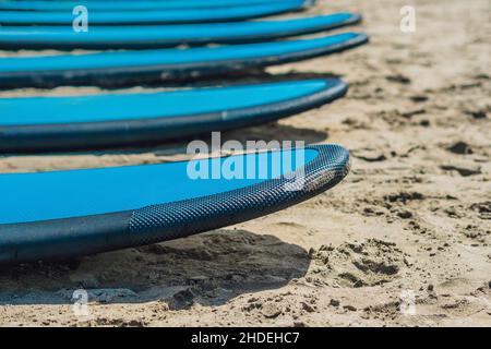 Blau Surfbretter in den Sand am Strand Stockfoto