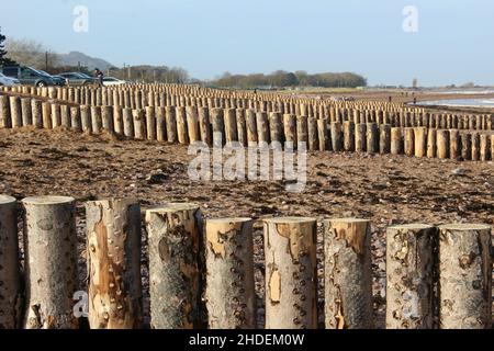 Hölzerne Groynes am dunster Beach somerset england UK Stockfoto