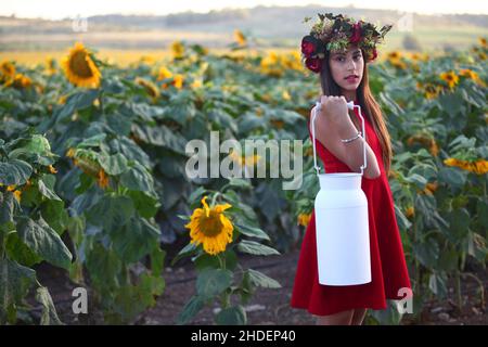 Eine Jugendliche mit Kranz in einem Feld von Sonnenblumen trägt einen Milchbehälter Stockfoto