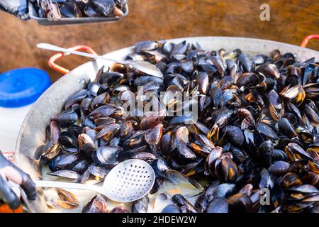 Gekochte Muscheln in Kupfer Kochen Gericht auf dunklem Holz hautnah Stockfoto