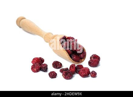 Ein paar getrocknete Preiselbeeren in einem Holzlöffel auf weißem Hintergrund. Köstliche Beeren Stockfoto