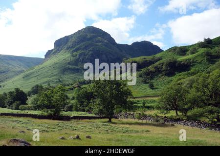 Die Wainwrights 'Eagle Crag & Sergeant's Crag' mit Blick auf Felder von der Nähe von Stonethwaite in Borrowdale, Lake District National Park, Cumbria, England. Stockfoto