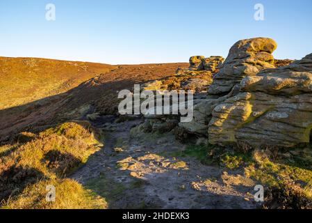 Gritstone liegt am Rand von Kinder Scout, Edale, Derbyshire, Peak District, England, bei Ringing Roger. Stockfoto