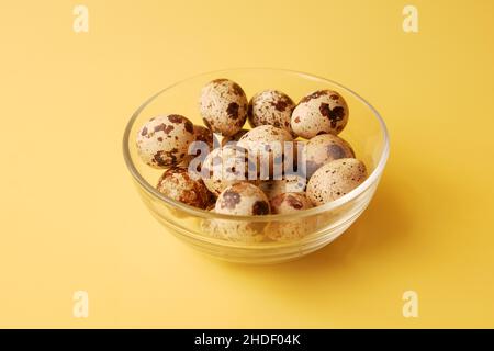 Nahaufnahme von Wachteln Eier in einer Box Stockfoto