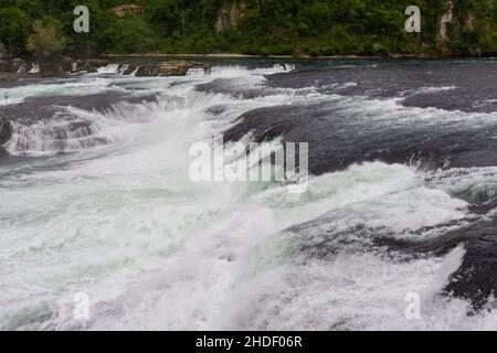 Schnell fließende Rheinfälle sprudeln und kaskadieren auf Felsen bei Schaffhausen, Schweiz. Stockfoto