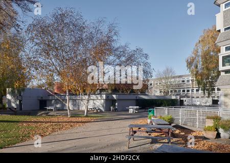 Acland Burghley School entworfen von Howell, Killick, Partridge und Amis im Jahr 1967, North London, Großbritannien Stockfoto