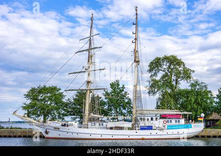 Hansestadt Greifswald, Mecklenburg-Vorpommern, Deutschland - 25. August 2014: Das Segeltrainingsschiff GREIF ex WILHELM PIECK. Stockfoto