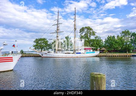 Hansestadt Greifswald, Mecklenburg-Vorpommern, Deutschland - 25. August 2014: Das Segeltrainingsschiff GREIF ex WILHELM PIECK. Stockfoto
