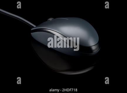 Computermaus, Computermäuse Stockfoto