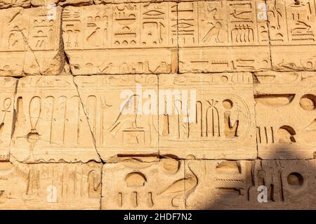 Hieroglyphen, ägypten, ägypten, ägypten Stockfoto