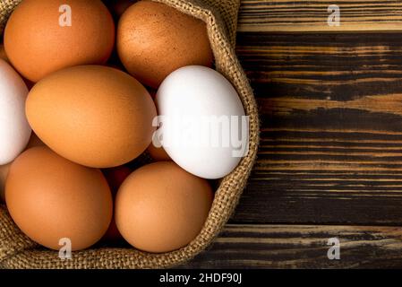 Eier, Hühnereier, Eier, Hühnereier Stockfoto