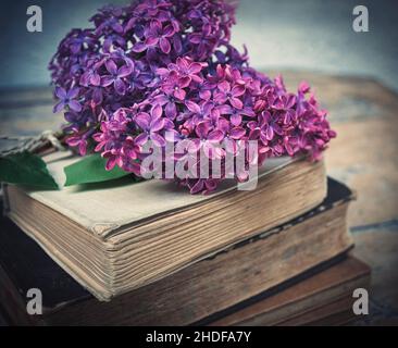 Buch, Literatur, Roman, altes Buch, Bücher, literaturen, Romane, alte Bücher Stockfoto