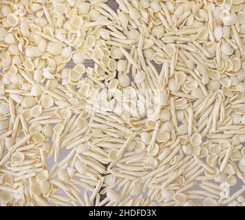 Pasta, Nudelsorten, Olecchiette, Nudeln, Pasta, Noddle-Vielfalt, Pasta-Vielfalt Stockfoto