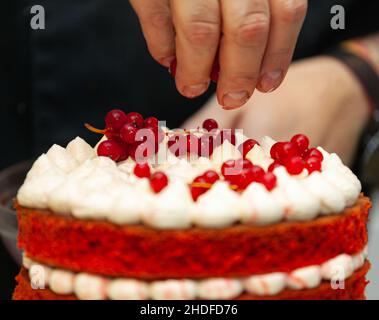 Ornament, Kuchen, Konditor, Verzierungen, Kuchen, Konditoren Stockfoto