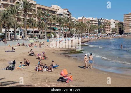 Die Promenade von Playa del Cura in der Stadt Torrevieja in der Provinz Alicante, Bundesland Valencia, Spanien, Europa Stockfoto