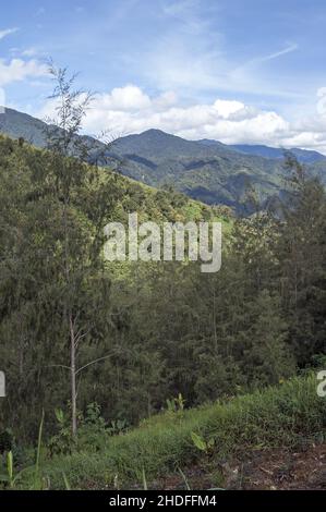 Papua-Neuguinea; Östliches Hochland; Goroka; Namta (Mefenga); Typische Berglandschaft in Zentral-Papua; Typische Berglandschaft in Zentral-Papua Stockfoto
