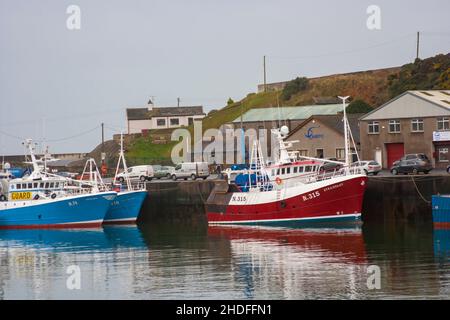 9. Dezember 2016Trawlers am Kai für das Wochenende in Kilkeel Harbour County unten an der Ostküste von Nordirland Stockfoto