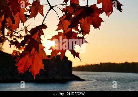 Der Herbst beginnt bei Sonnenaufgang in Suomenlinna in Helsinki, Finnland Stockfoto