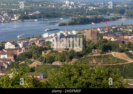 Bingen am Rhein, Oberes Mittelrheintal, UNESCO-Weltkulturerbe, Weinberge, Schloss Klopp, Bingen, Rheinland-Pfalz, Deutschland Stockfoto
