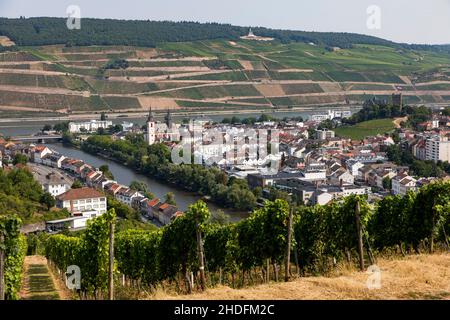 Bingen am Rhein, Oberes Mittelrheintal, UNESCO-Weltkulturerbe, Weinberge, Mündung der nahe in den Rhein, Bingen, Rheinland-Pfalz, Stockfoto