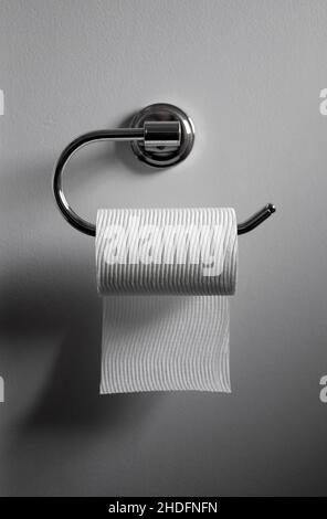 Rolle von weißem Toilettenpapier auf Chrom-Metall-Halter an der Badezimmerwand Stockfoto