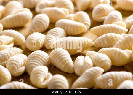 Pasta, selbst gemacht, conchiglie, Nudeln, Pasta, Hausfrauen Stockfoto