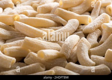 Nudelsorten, Maccheroncini, Noddle-Sorten, Nudelsorten, Pasta-Sorten Stockfoto