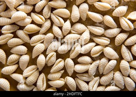 Pasta, selbst gemacht, conchiglie, Nudeln, Pasta, Hausfrauen Stockfoto