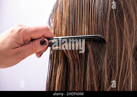 Nasse Haare, Kämmen, nasse Haare Stockfoto