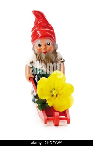 Gartenzwerg, Gartenzwerg Stockfoto