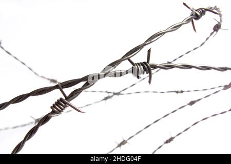 Rasierdraht, Rasierdraht Stockfoto