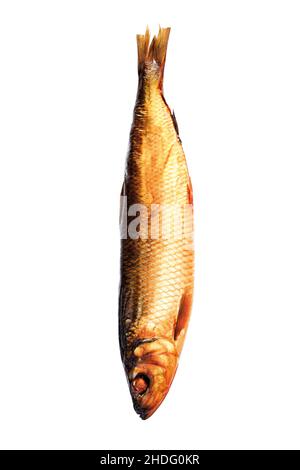 Geräucherter Fisch, Schnallen, Kipper Stockfoto