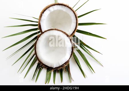 Kokosnuss, Kokosmark, Kokosnüsse, Kokosnussmarken Stockfoto