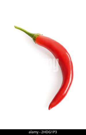 Pepperoni, Chilischote, roter Pfeffer, Pepperonis, Chilischoten Stockfoto