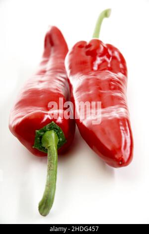 Pepperoni, roter Pfeffer, Pepperonis Stockfoto