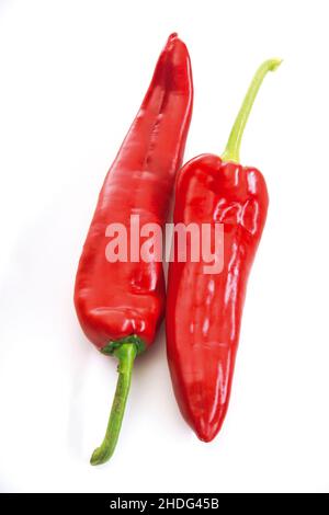 Pepperoni, roter Pfeffer, Pepperonis Stockfoto