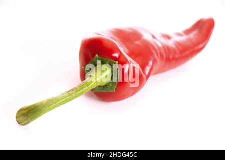 Pepperoni, roter Pfeffer, Pepperonis Stockfoto