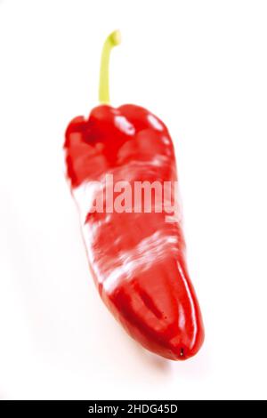 Pepperoni, roter Pfeffer, Pepperonis Stockfoto
