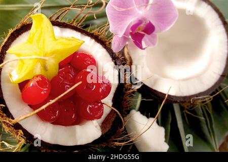 Exotisch, Kokosnuss, Exoten, Kokosnüsse Stockfoto