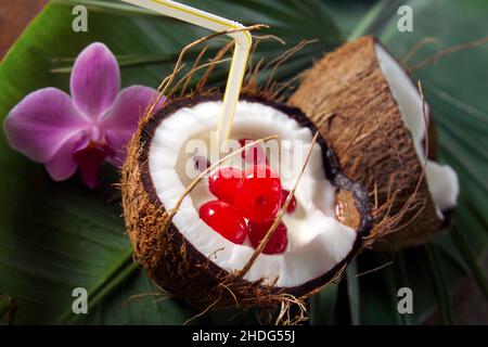 Cocktail, Kokosmilch, Kokosnuss, Alkohol, Cocktails, Tropisches Getränk, tropische Getränke, Kokosmilch, Kokosnüsse Stockfoto
