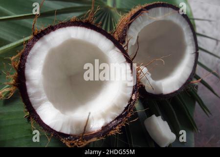 Kokosnuss, Kokosmark, Kokosnüsse, Kokosnussmarken Stockfoto