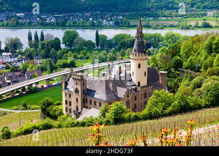 Weinberg, Schloss arenfels, Weinberge Stockfoto