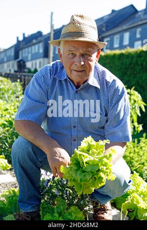 Senioren, im Garten, Senioren, alt, Senioren, Pflanzenpflege, Pflege von Pflanzen Stockfoto