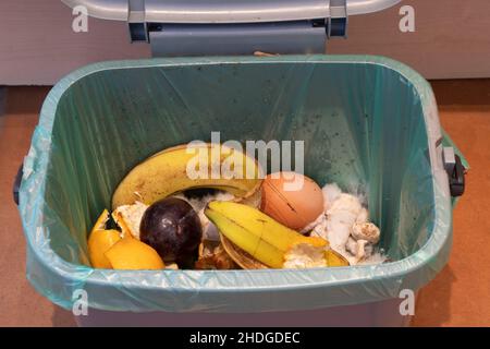 Kleiner indoor Food Waste Caddy für das Recycling mittels anaerob Verdauung, Großbritannien. Stockfoto