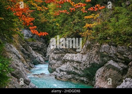 Gebirgsbach, Schlucht, Rißbach, Gebirgsbäche, Schluchten, Rißbachs Stockfoto