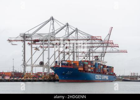 Das Containerschiff Xin Qing Dao (COSCO Shipping), das unter der Flagge Chinas segelt, dockte in Southampton Docks, Hampshire, England, Vereinigtes Königreich an Stockfoto