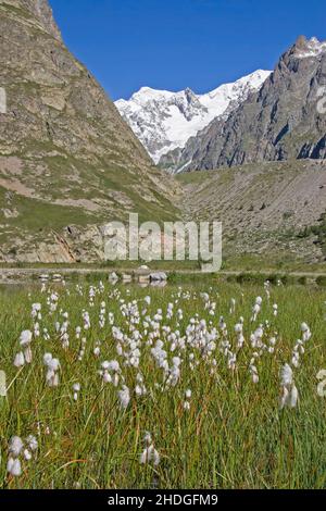 monte bianco, aostatal, monte biancos, aostatal Stockfoto